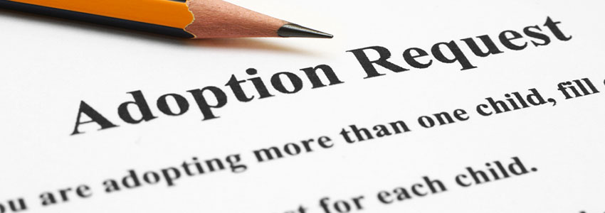 Chicago Child Adoption / International Adoption Attorneys