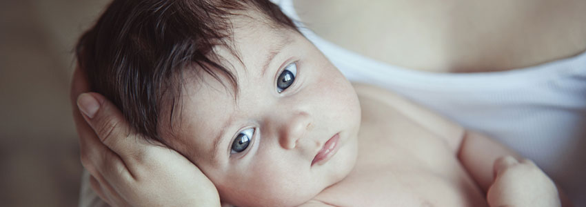 Chicago Guardianship and Estate Planning Lawyers